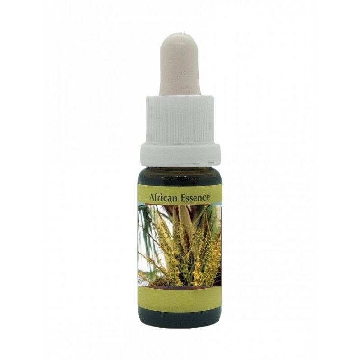 Essences de Cocotier Korte 15ml