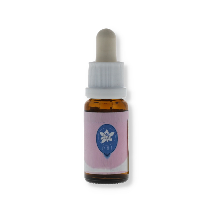 Essences de Myrtille Korte 15ml