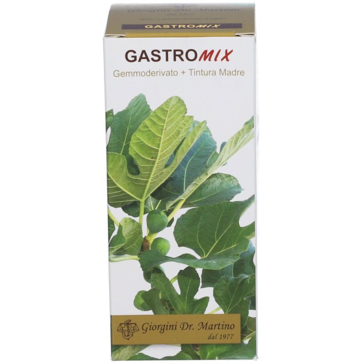 Gastromix Liquide Sans Alcool Dr. Giorgini 100ml