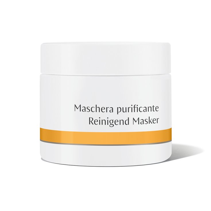 Dr. Hauschka Masque Purifiant 90g