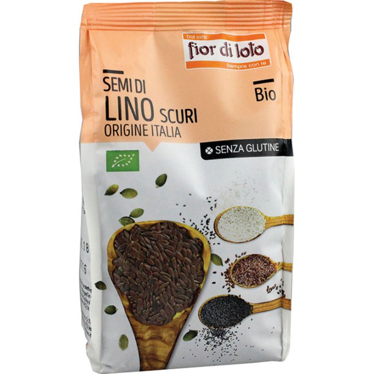 Fior Di Loto Graines de Lin Foncé Bio 400g