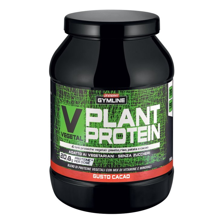 Mélange de Protéines Végétales V-Végétales Goût Cacao Enervit Gymline 900g