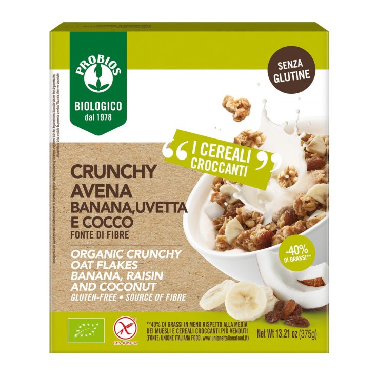 Easy To Go Croquant Avoine Banane Raisins Et Noix De Coco Probios 375g