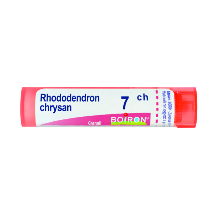 Boiron Rhododendron Chrysan Granulés 7ch