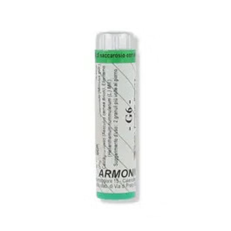 Armonique G6 70gr