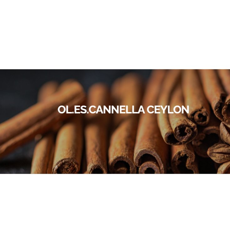 Cannelle Ceylan Oil Ess 100g