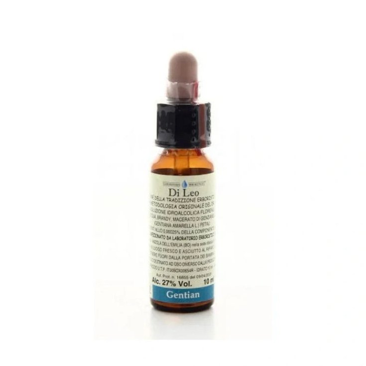 Gentiane 10ml Par Léo
