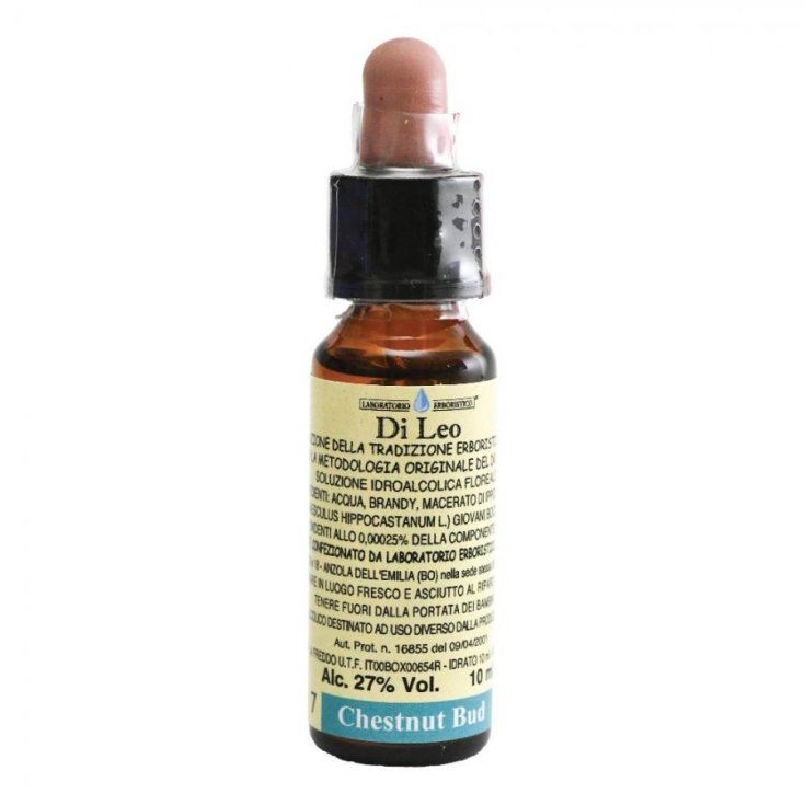 Bourgeon de Châtaignier 10ml By Leo
