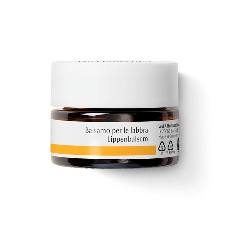 Dr. Hauschka Baume à Lèvres 4.5g