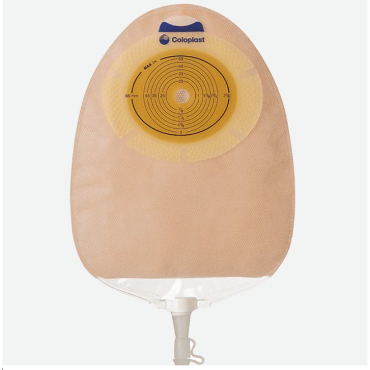 Coloplast Sensura Sac d'urostomie 1 pièce Système Taille 10/66 Midi 30 pièces