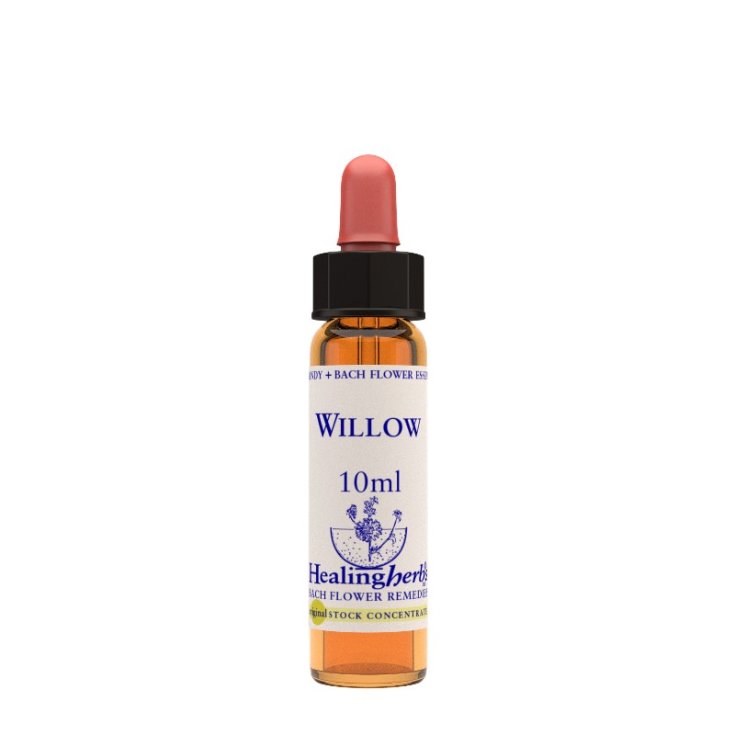 Natur Willow Essence Remède Homéopathique 10ml