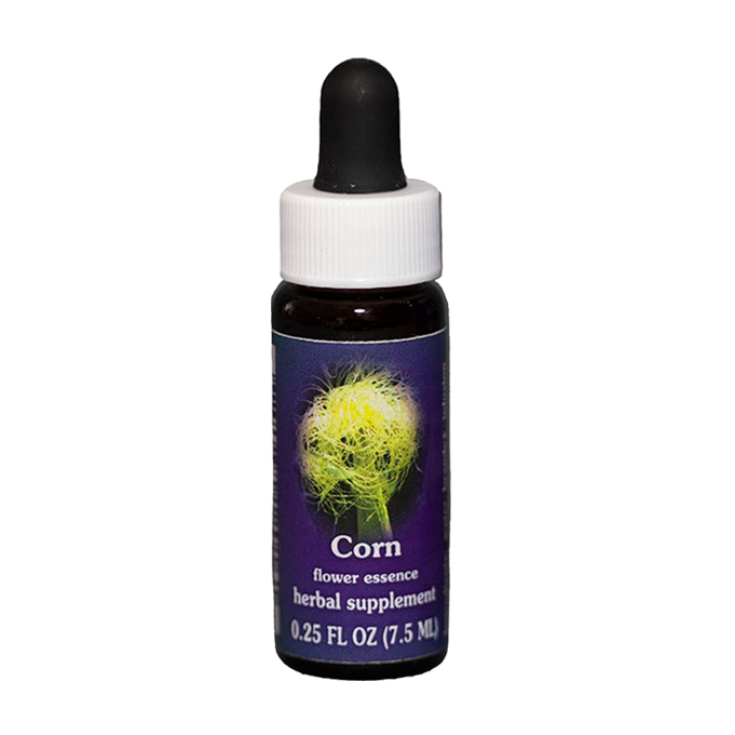 Corn Essences Californien 7.4ml