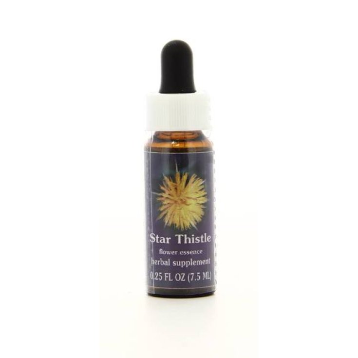 Natur Star Thistle Essences Californiennes 7,4ml