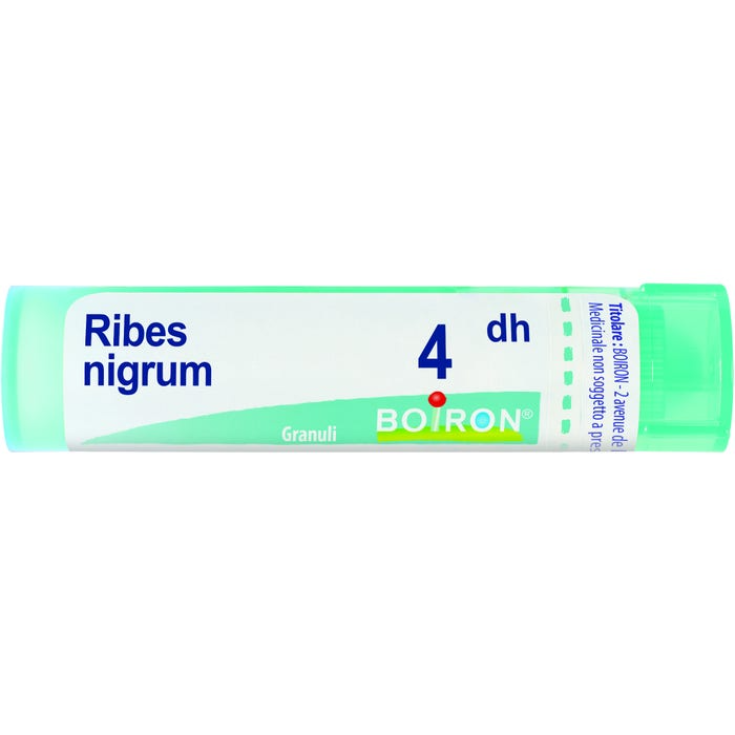 Boiron Ribes Nigrum 4DH Granules Médicament Homéopathique