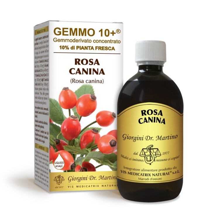 G10 + Rosa Canina Liquide Sans Alcool Dr. Giorgini 500ml