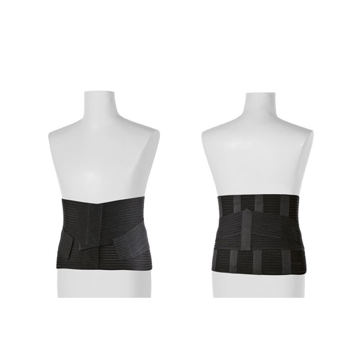 Tlm Winner + Dynamic Corset Noir Xxl