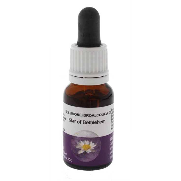 Natur Star Of Bethlemm Essence de Fleurs de Bach Complément Alimentaire 15 ml