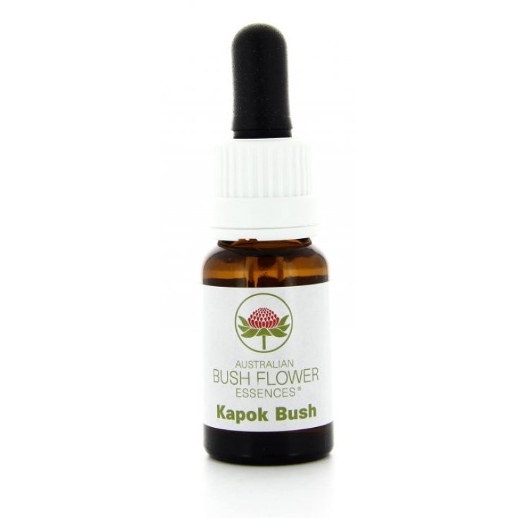 Natur Kapok Bush (Cochlospermum) Essence 15ml