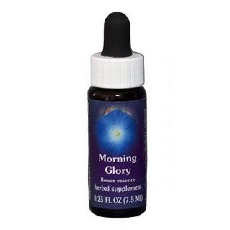 Natur Morning Glory (Ipomoea Purpurea) Essence Californienne 7,4ml