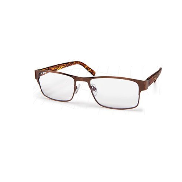 Lunettes de lecture Pikdare modèle Foocus métal couleur bronze +1 dioptries