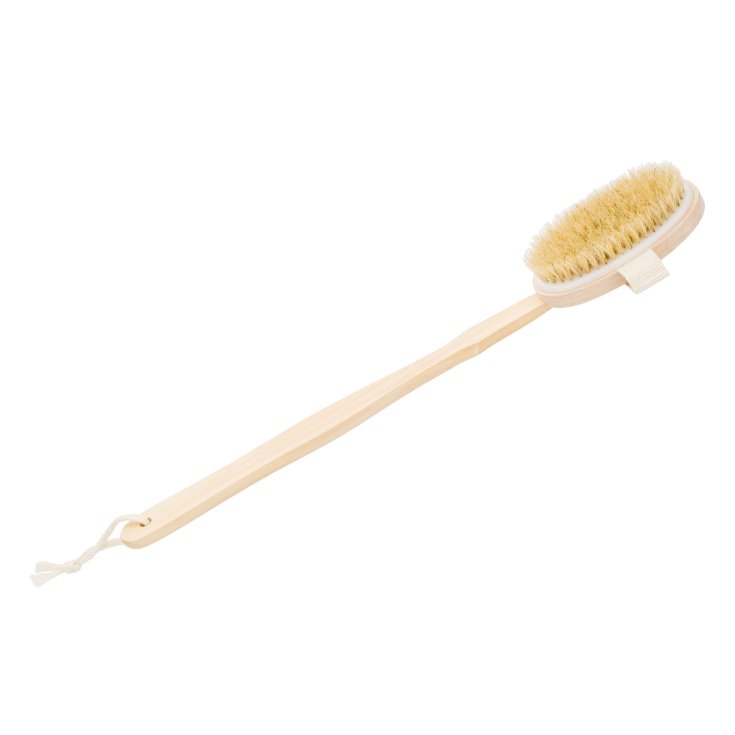 Brosse avec Manche en Bois Amovible BT330 Beautytime