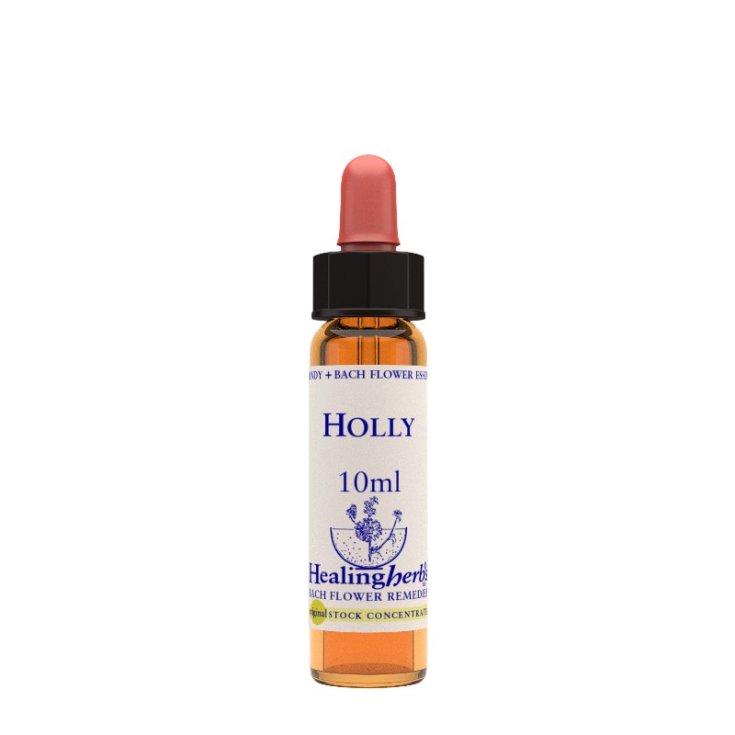 Natur Holly Essence Remède Homéopathique 10ml