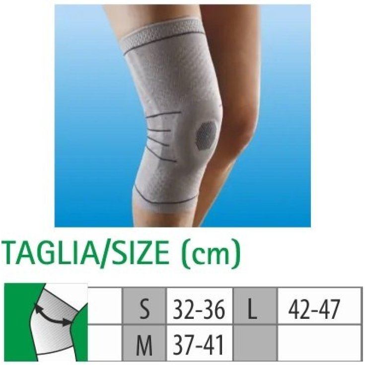 Cliaortho Genou Ligaments Taille M