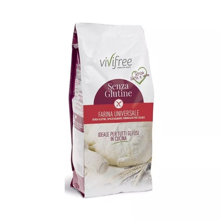 Molino Spadoni Vivifree Farine Universelle Sans Gluten 1Kg