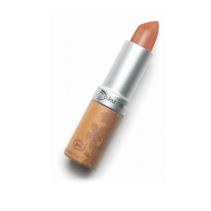 Couleur Caramel Rouge à Lèvres Nacré 210 Brun Rosé 3.5g