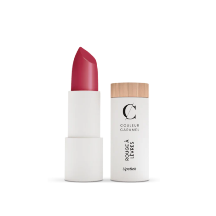 Couleur Caramel Rouge à Lèvres Mat 121 Rose Brique