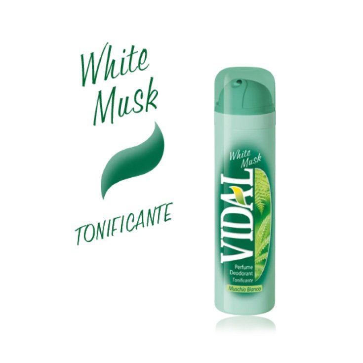 VIDAL DEO MUSC SAUVAGE 150 ML