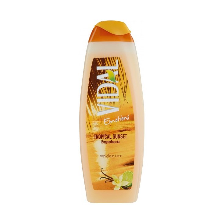 VIDAL B/S VANILLE ET CITRON VERT 500 ML