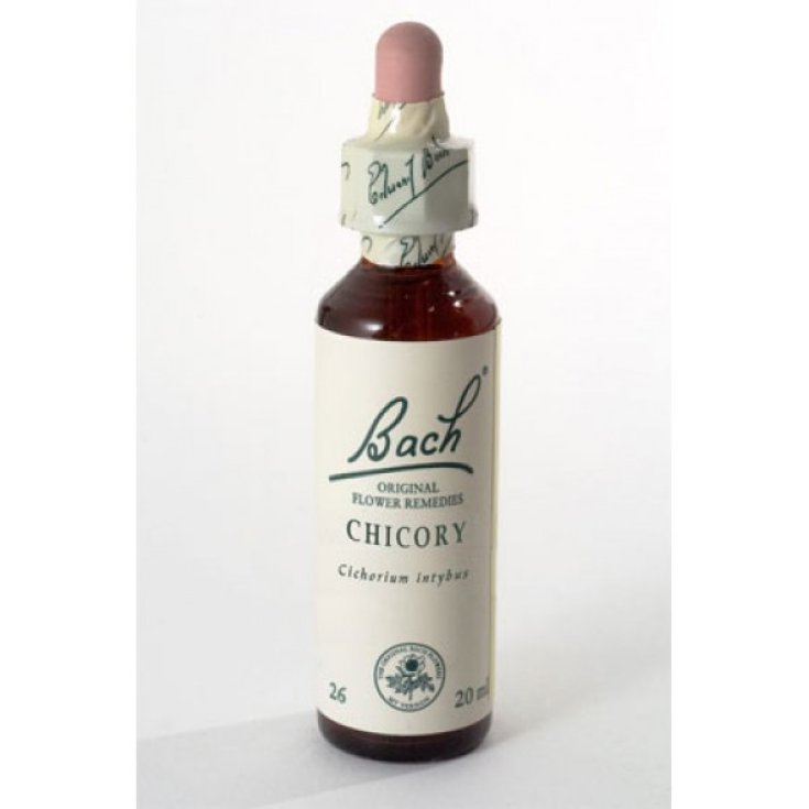 Schwabe Pharma Chicorée Fleur de Bach Original Remède à base de plantes 20 ml