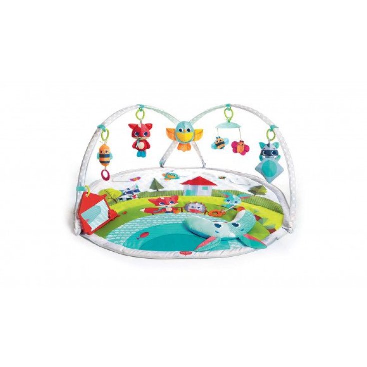 Salle de sport Dynamic Gymini ™ Tiny Love 1