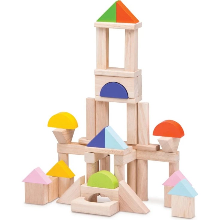 Blocs de bois Wworld 50pcs