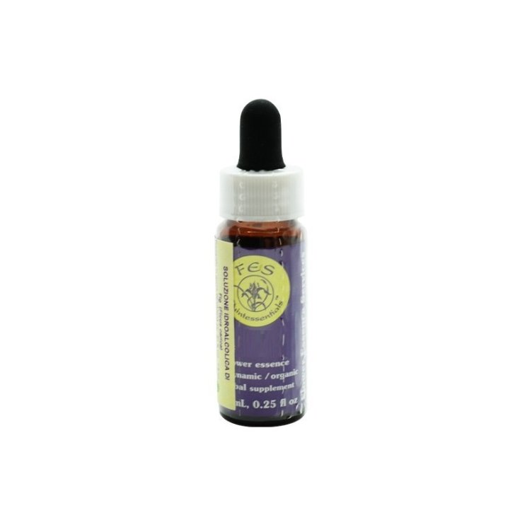 Natur Séquoia Essence 7.4ml