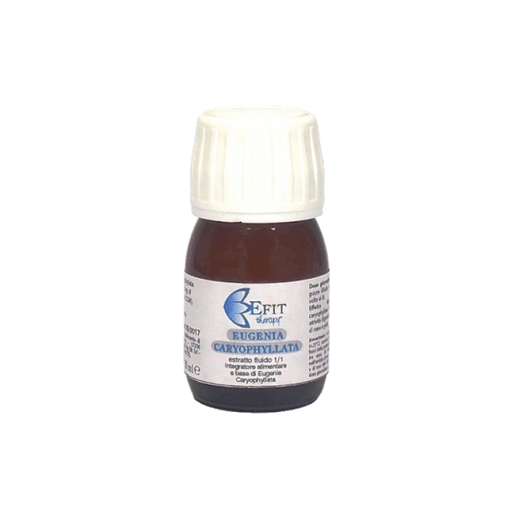 Eugenia Caryophyllata Extrait Fluide Complément Alimentaire 30 ml