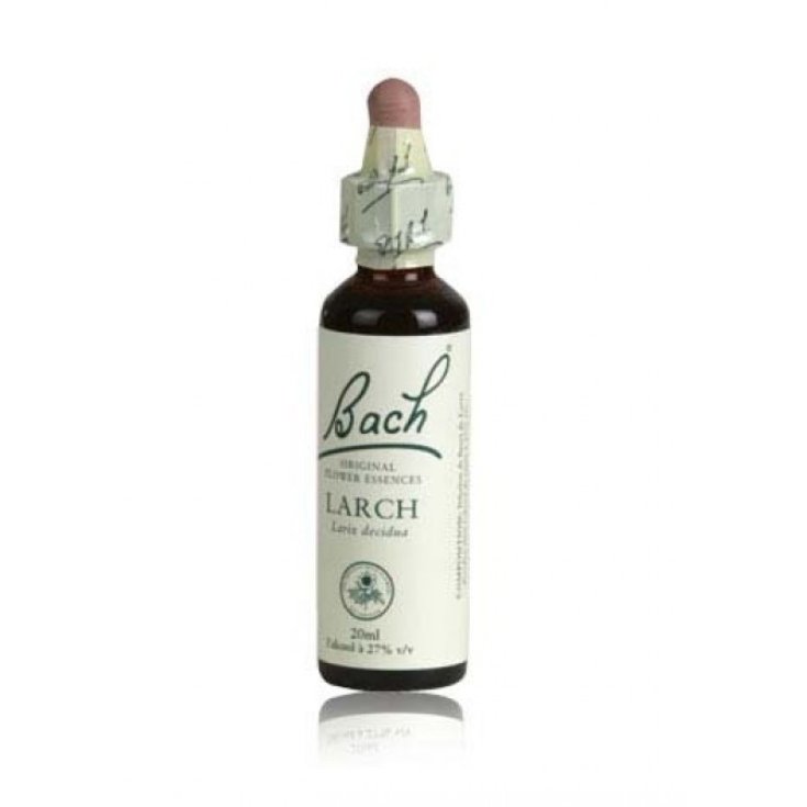 Schwabe Mélèze Fleurs de Bach Origan 20ml