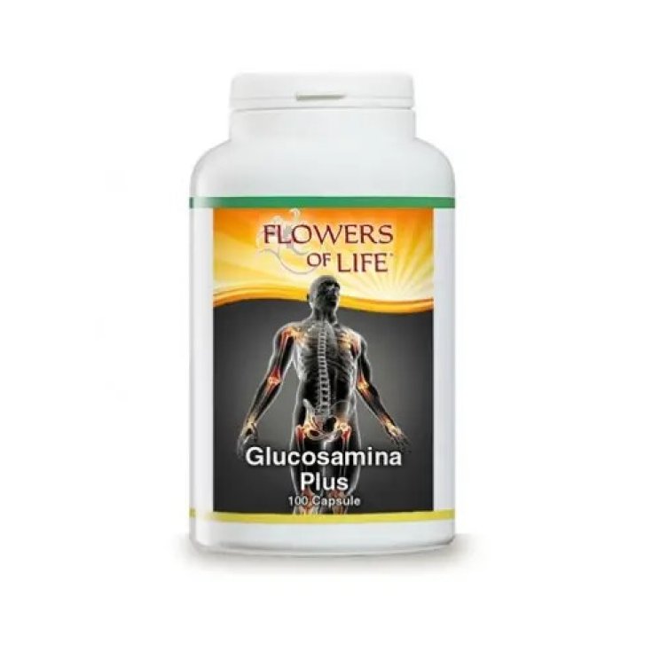 Glucosamine Plus Fleurs De Vie 100 Gélules