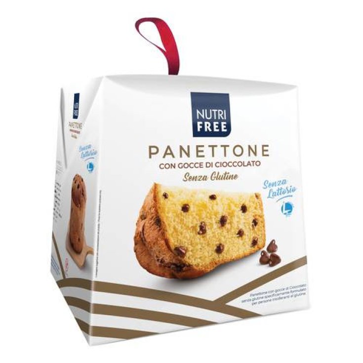 Panettone Aux Gouttes De Chocolat Nutrifree 600g