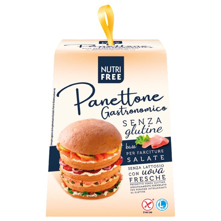 Panettone Nutrifree 400g