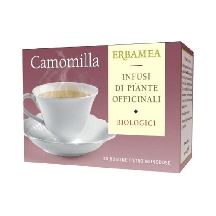 Filtre camomille 20bust