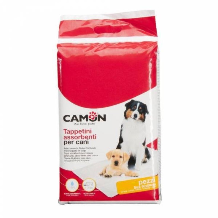 Tapis absorbants pour chiens Camon 25 pièces