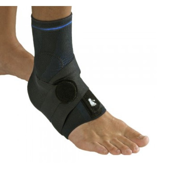 GIBAUD ORTHO CAVIGL LEGAM NE 5