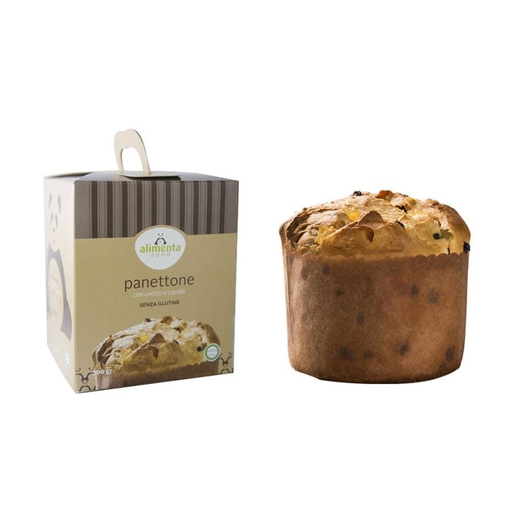 PANETTONE C/CANDITI&UVA S 300G