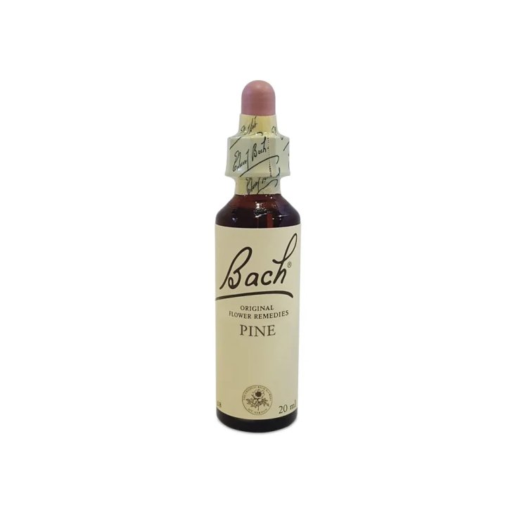 BACH CENTRE ESS PIN 20ML BACH CENTRE ESS PIN 20ML