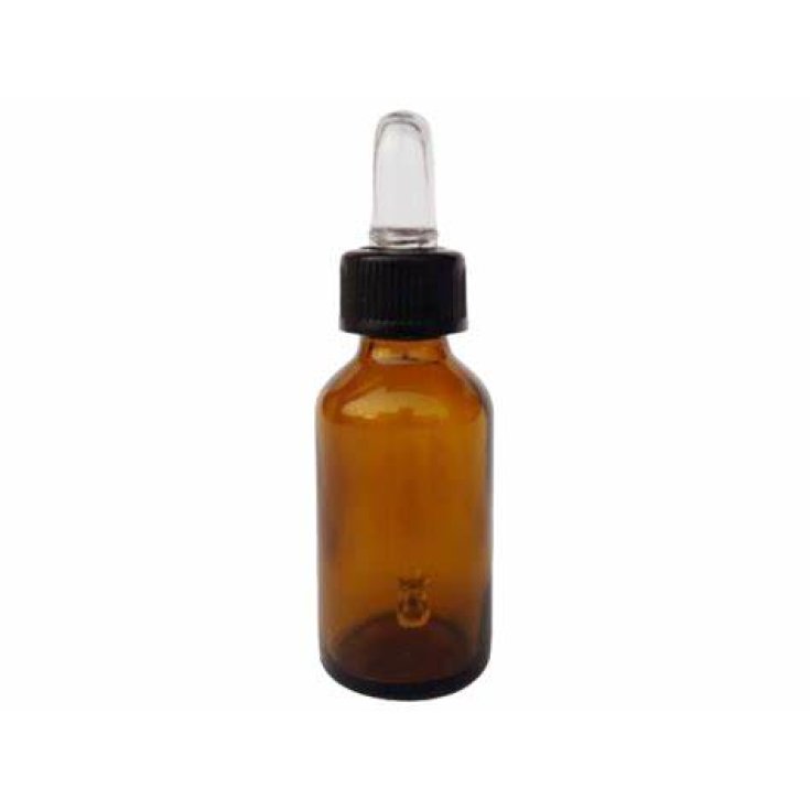 COMPTE-GOUTTES REX 20ML 10PCS