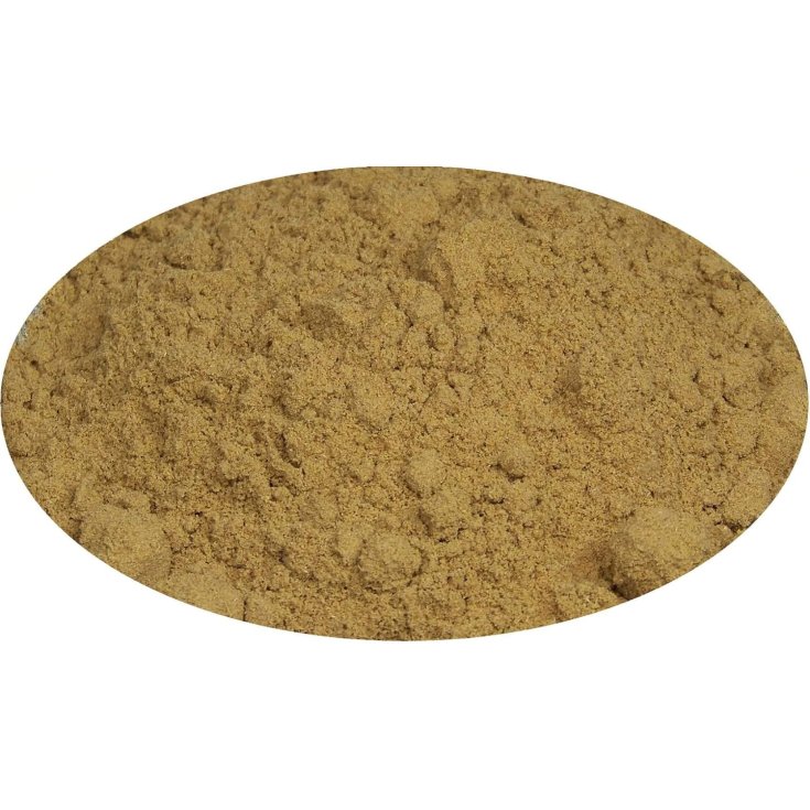 TISANE D'ANIS POLV100G