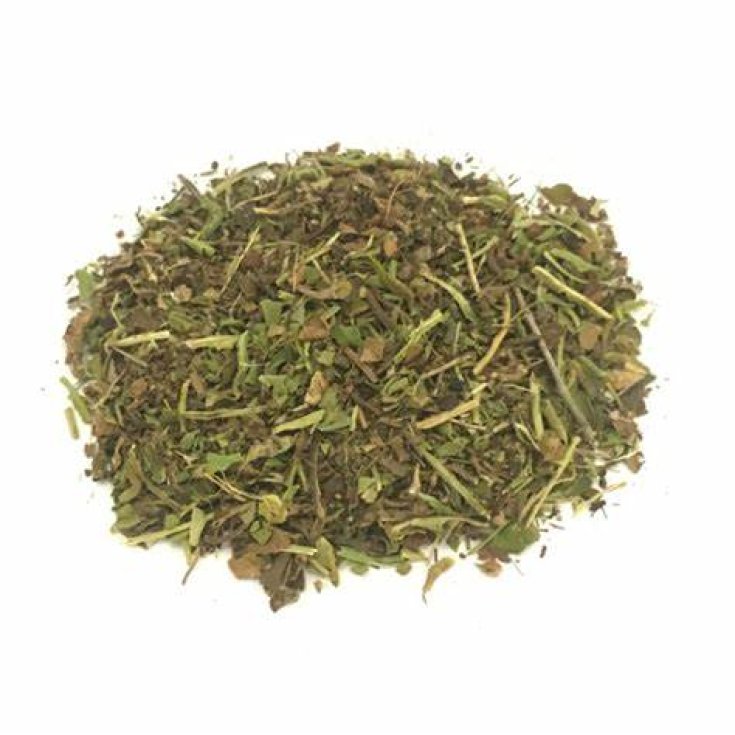 TT FENDEUSE DE FEUILLES 100G