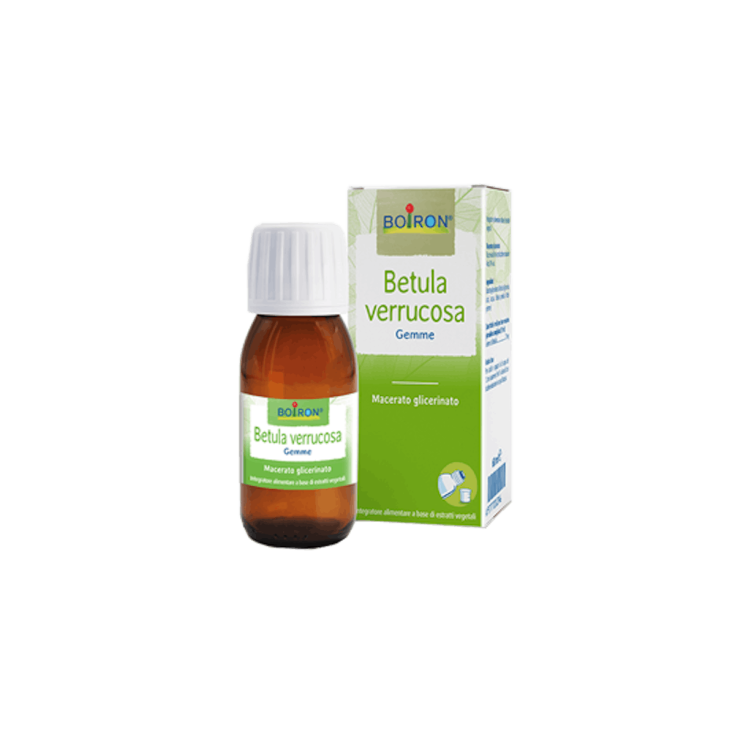 Betula Verruqueuse Boiron 60ml